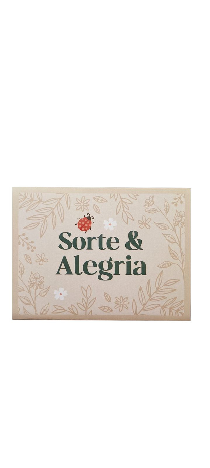 Caixinha Surpresa C/ Chaveiro - Sorte e Alegria